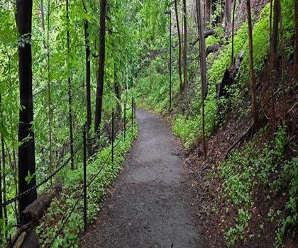 Cascadilla Gorge Trail trail - hiking in Finger Lakes