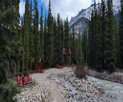 Sentier Baker Creek Mountain Resort - randonnée en Canadian Rockies