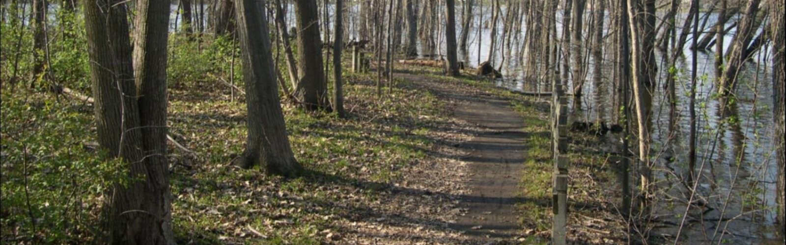 Sentier Boisé De L'orée-des-bois - randonnée en Laval