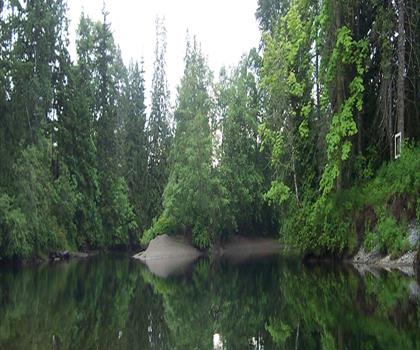 Cable Bay Trail trail - hiking in Vancouver Island