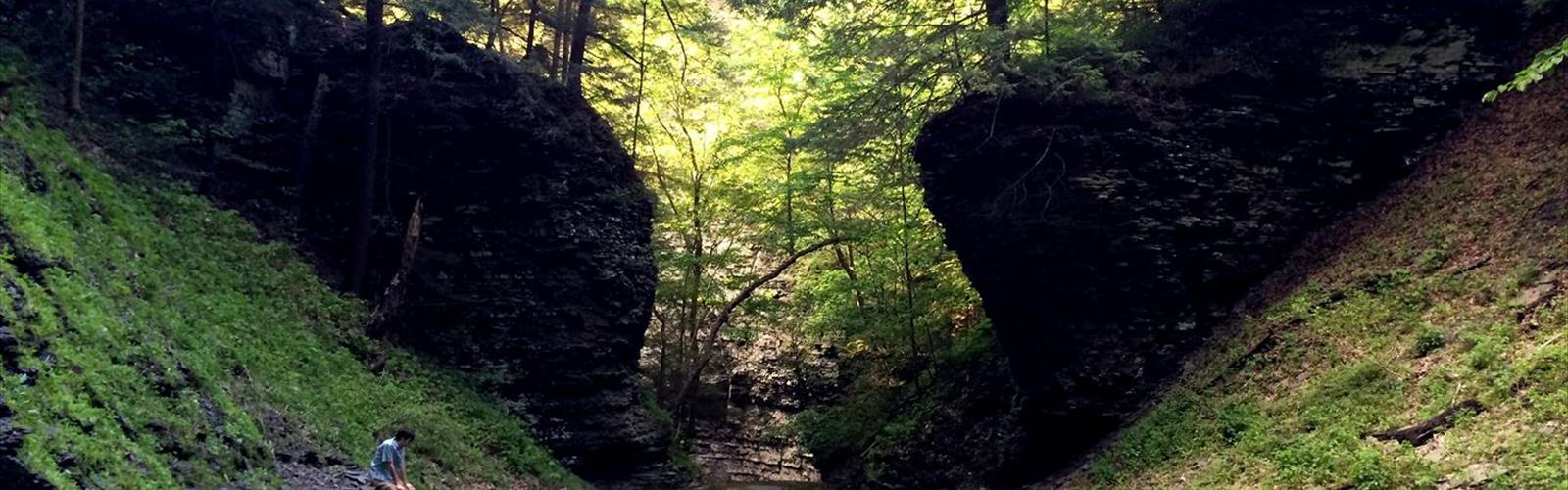 Waterfall on Lick Brook trail - hiking in Finger Lakes
