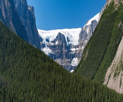 Sentier Stutfield Glacier Viewpoint - randonnée en Canadian Rockies