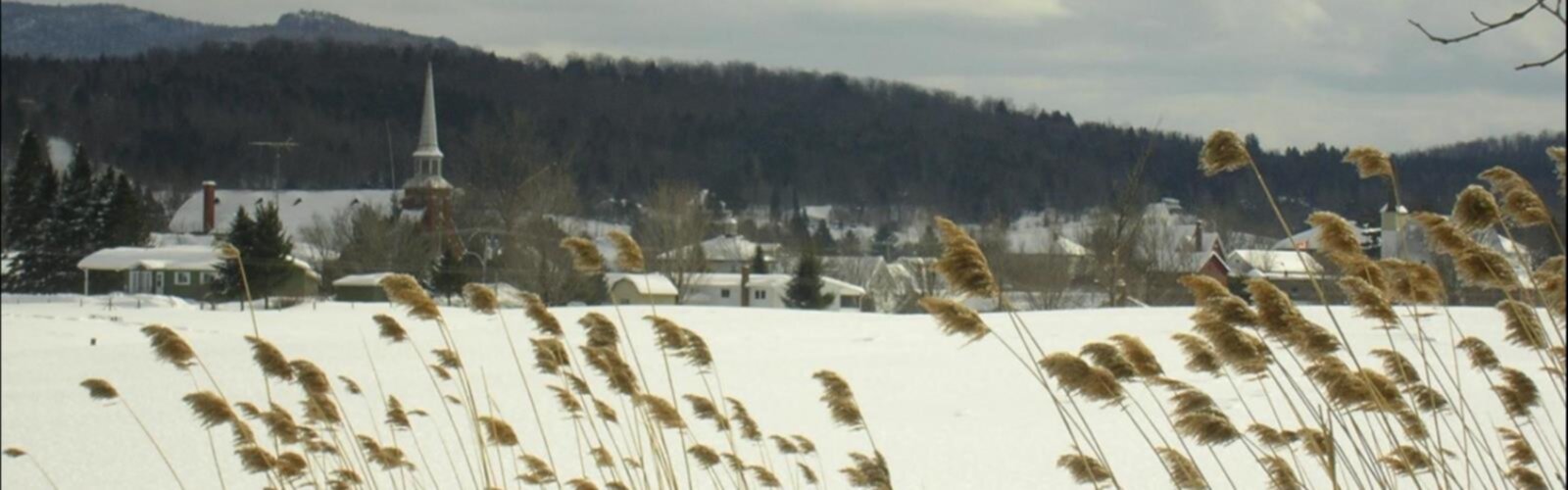 Randonnée Les Parcours De La Missisquoi Nord - vue panoramique
