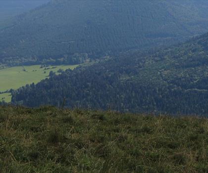 Parc naturel régional des Volcans d'Auvergne trail - hiking in Puy-de-Dôme