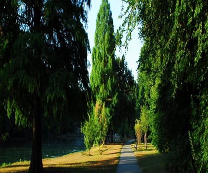 Sentier parc Willowbrook - randonnée en New York City