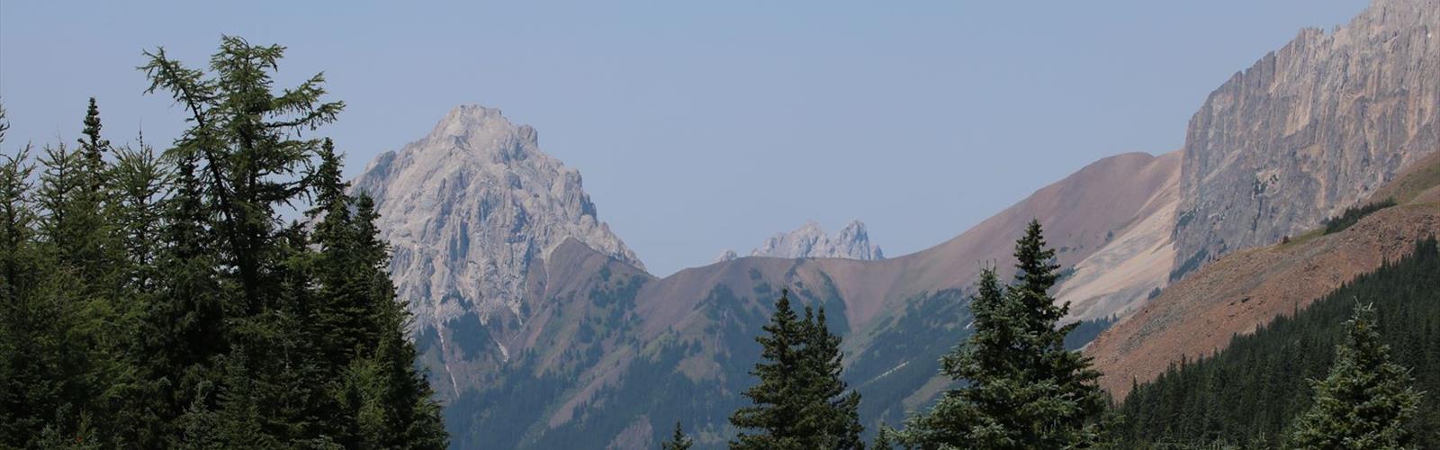 Sentier Little Arethusa Peak - randonnée en Canadian Rockies