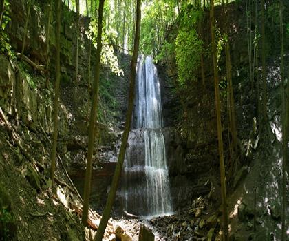 Sherman Falls trail - hiking in Hamilton, Halton and Brant