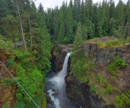 Elk Falls Provincial Park and Protected Area trail - hiking in Vancouver Island