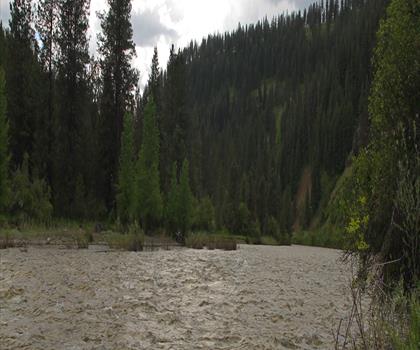 Sentier lac Whitetail - randonnée en Canadian Rockies