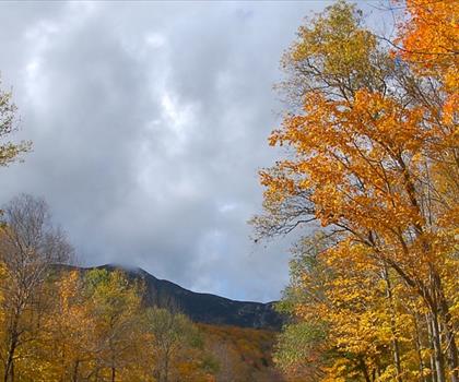 Grafton Loop Trailhead trail - hiking in Western Mountains