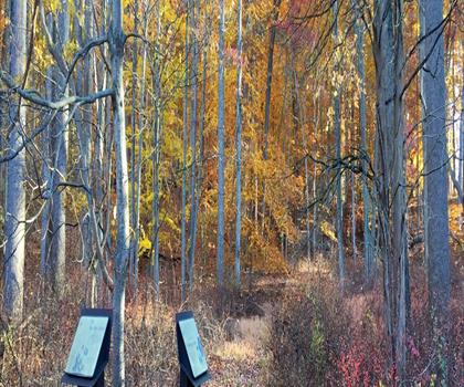 Morristown National Historical Park trail - hiking in Northern New Jersey