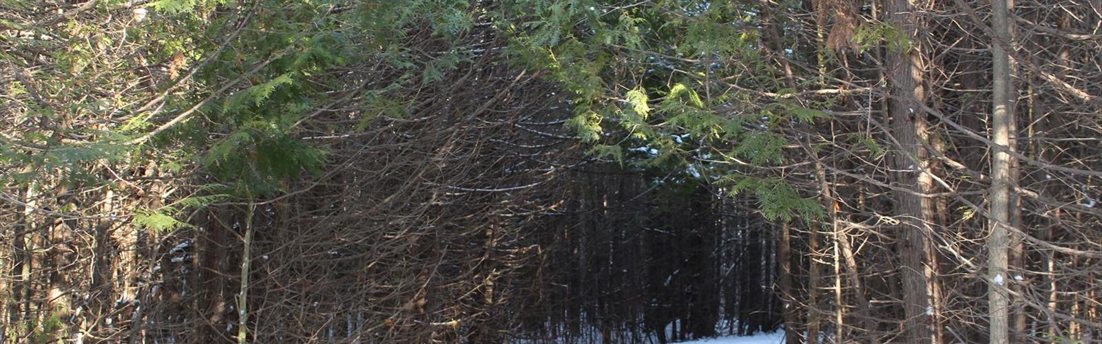 Sentier parc provincial Inverhuron - randonnée en Kincardine