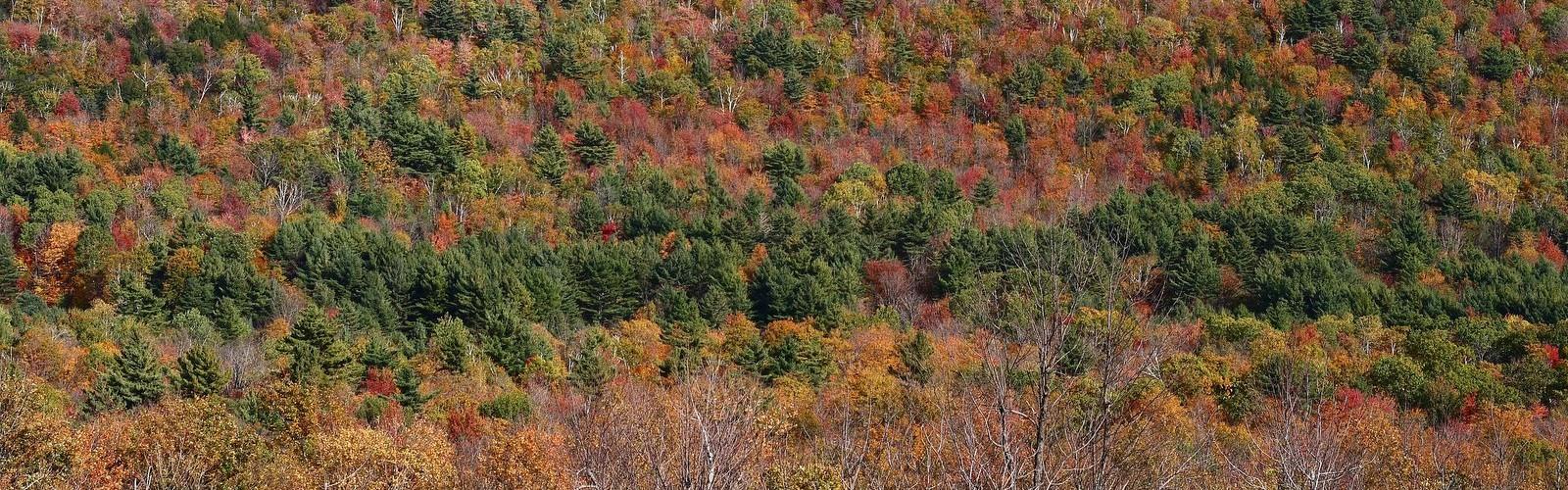 Gile Mountain Trailhead, Connecticut River Valley