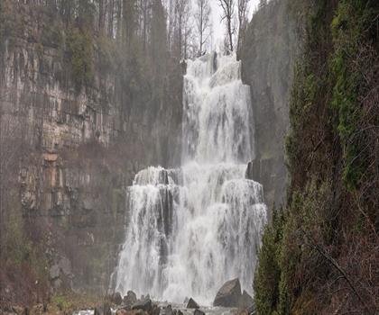 Sentier parc d'État Chittenango Falls - randonnée en Leatherstocking Region
