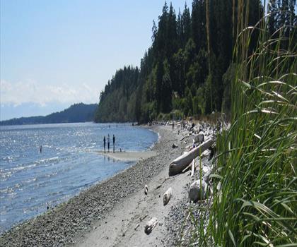 Sentier Wittys Lagoon - randonnée en Île de Vancouver