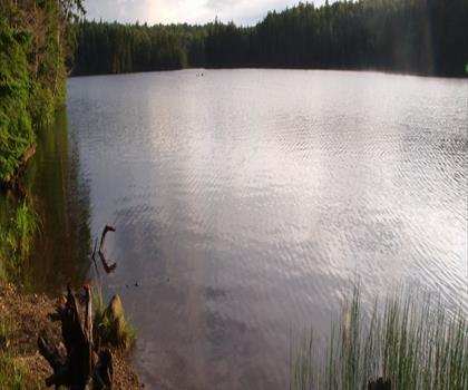 Woodford State Park trail - hiking in Southern Vermont