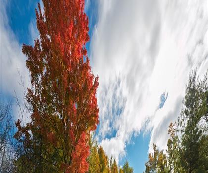 Limehouse Conservation Area trail - hiking in Hamilton, Halton and Brant