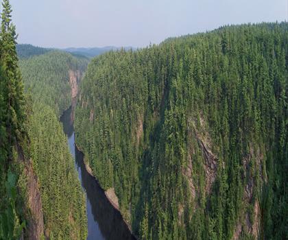 Barron Canyon trail - hiking in Algonquin Park, Almaguin Highlands, Muskoka and Parry Sound