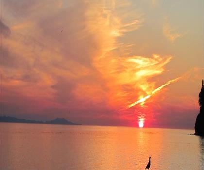 Gordon Bay Provincial Park trail - hiking in Vancouver Island