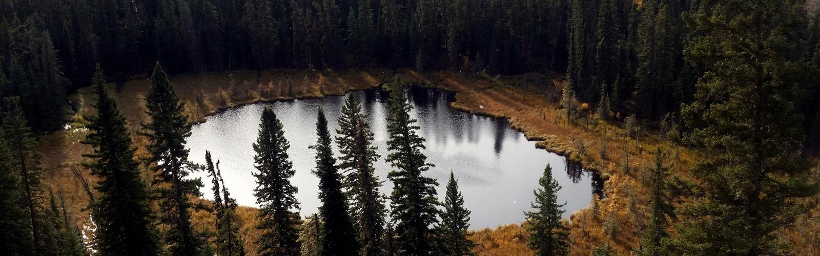 Sentier lacs Gem - randonnée en Unlimited Lakes & Parkland
