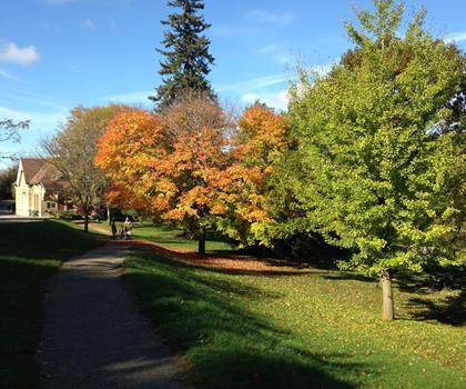 Springbank Park trail - hiking in Southwest Ontario