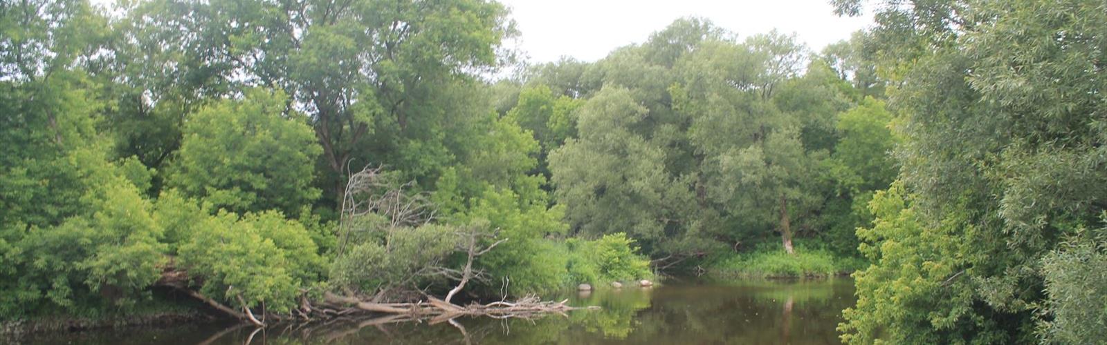 Lakeview Wildlife Management Area trail - hiking in Henderson