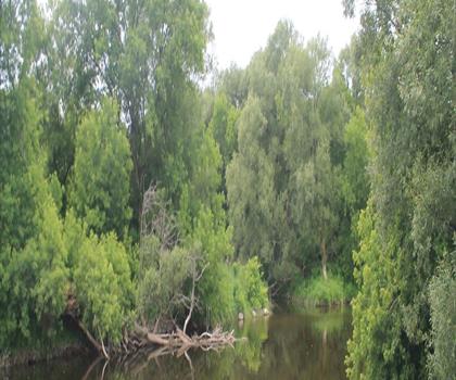 Sentier Lakeview Wildlife Management Area - randonnée en Mille-Îles-Voie Maritime