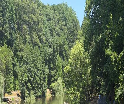 Sentier parc Clove Lakes - randonnée en New York City