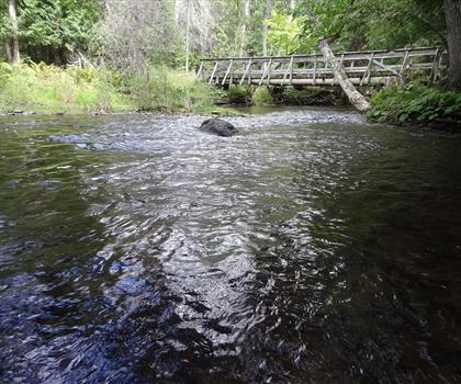 Boyne Valley Provincial Park trail - hiking in York, Durham and Headwaters