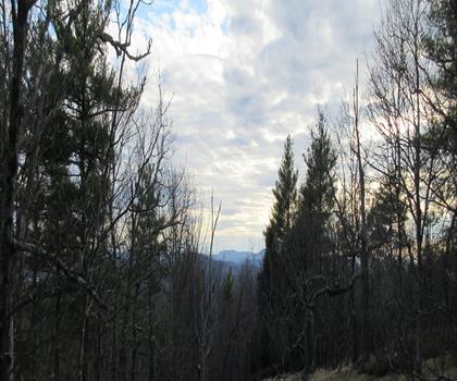 Sentier South Uncanoonuc - randonnée en Vallée de Merrimack