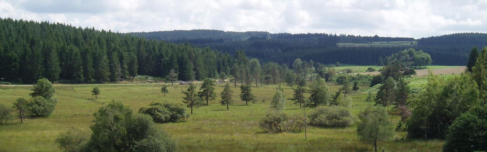 Parc naturel régional de Millevaches en Limousin trail - hiking in Corrèze
