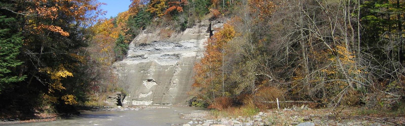 Sentier Deer Lick Conservation Area - randonnée en Ouest de New York