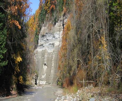 Sentier Deer Lick Conservation Area - randonnée en Ouest de New York