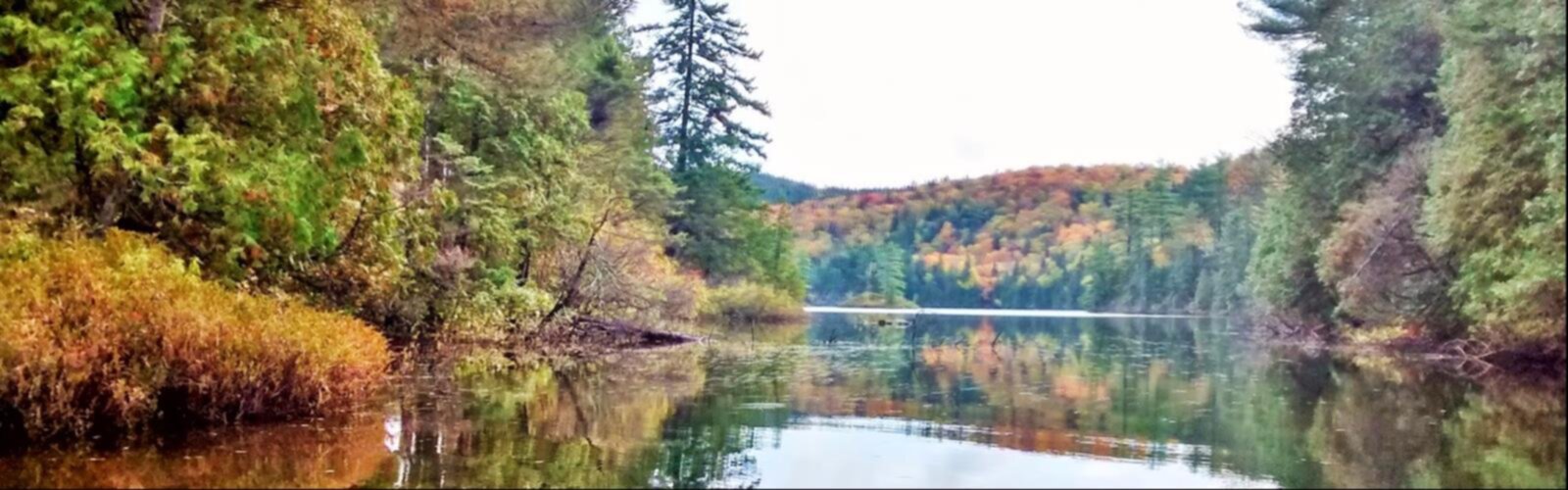 Aire Nature Grandes-piles trail - hiking in Mauricie