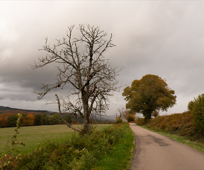 Parc naturel régional du Morvan trail - hiking in Côte-d'Or