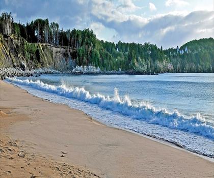 Middle Head Hiking Trail trail - hiking in Cape Breton Island