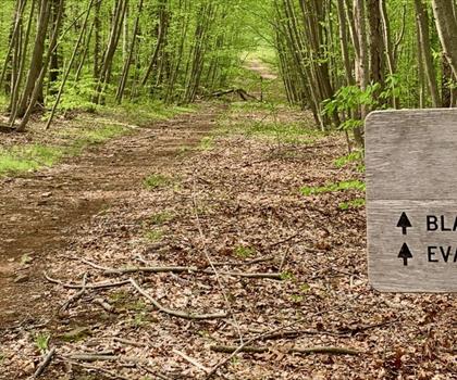 Sentier Patriots Path Trailhead - randonnée en Nord du New Jersey
