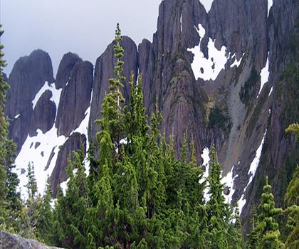 Mount Arrowsmith trail - hiking in Vancouver Island