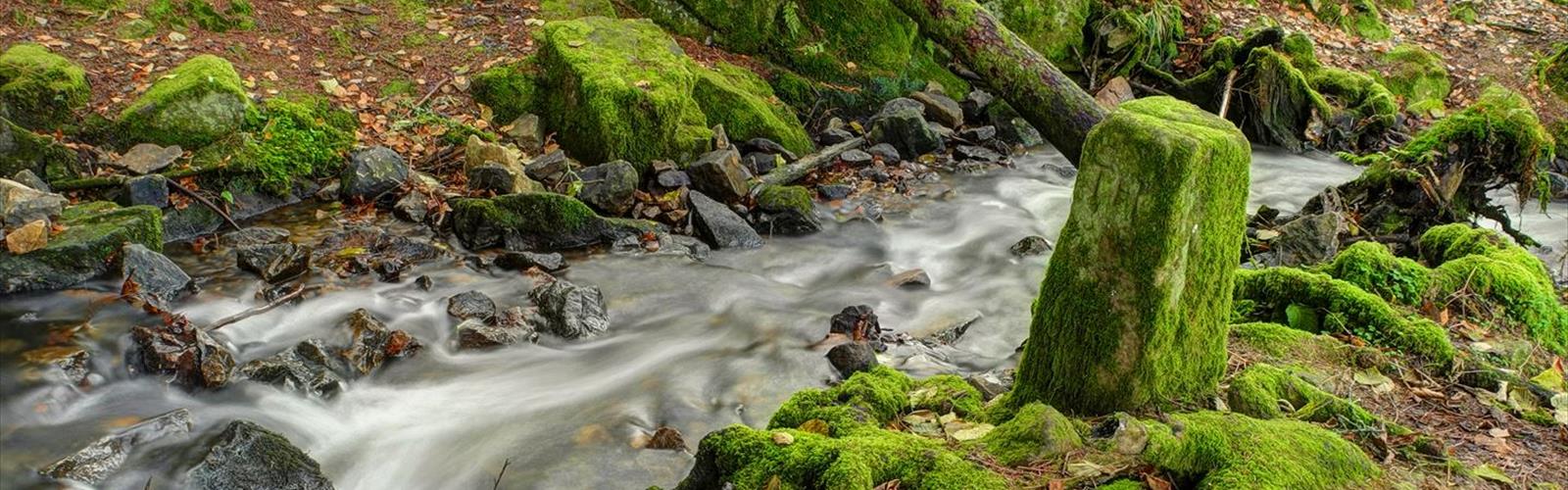 Grande cascade de Tendon trail - hiking in Vosges