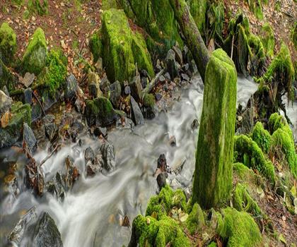 Grande cascade de Tendon trail - hiking in Vosges