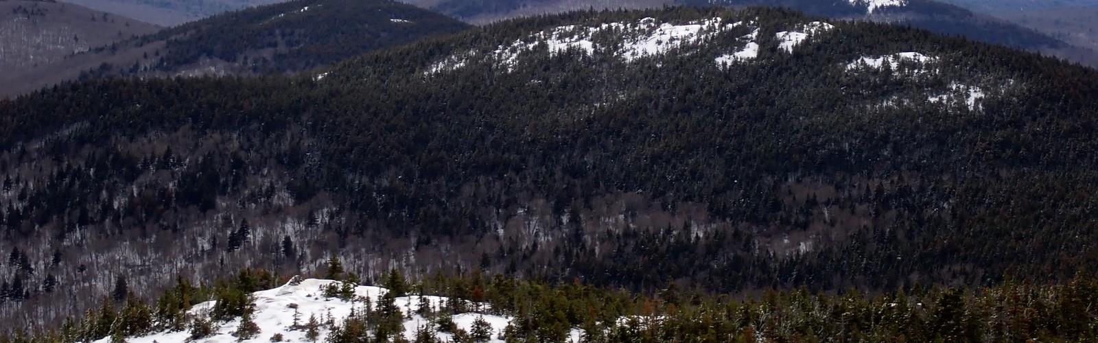 Cardigan Mountain State Park trail - hiking in Dartmouth-Lake Sunapee
