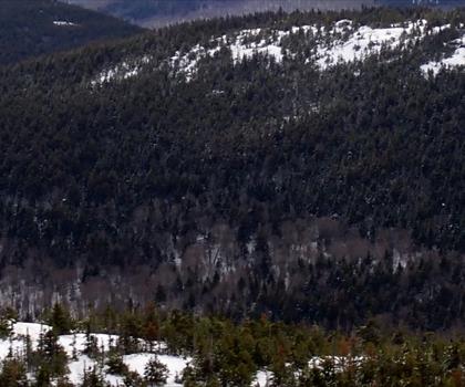 Cardigan Mountain State Park trail - hiking in Dartmouth-Lake Sunapee