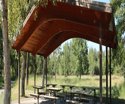 Carburn Park trail - hiking in Calgary & Area
