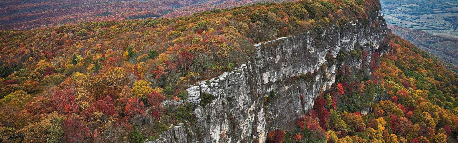 Black River Trail Head trail - hiking in Black River