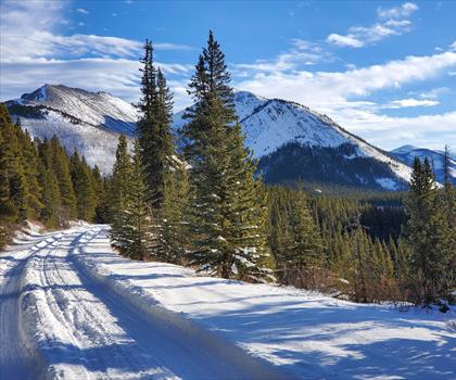 Hummingbird Falls trail - hiking in Canadian Rockies