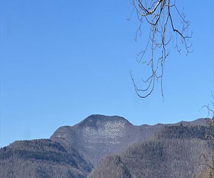 Panther Mountain trail - hiking in Canadian Rockies