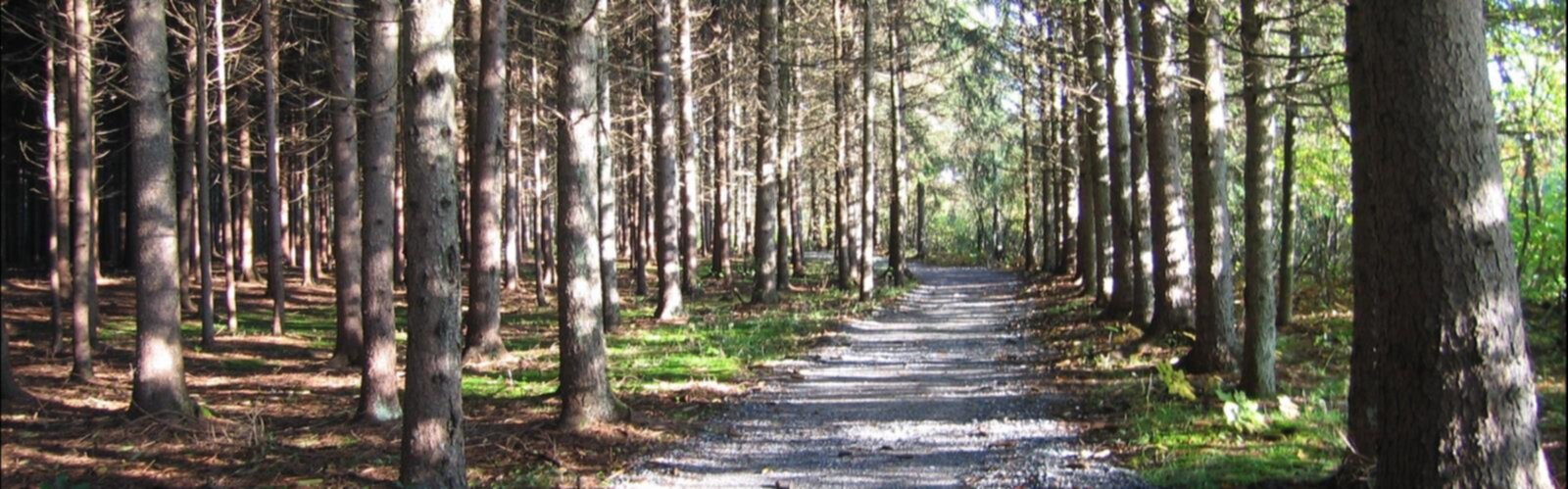 Randonnée Parc des deux rivières - vue panoramique