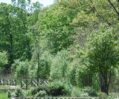 Slater Memorial Park trail - hiking in Blackstone Valley