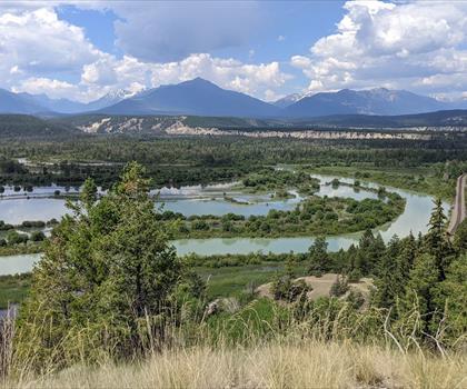 Dry Gulch Provincial Park trail - hiking in Kootenay Rockies
