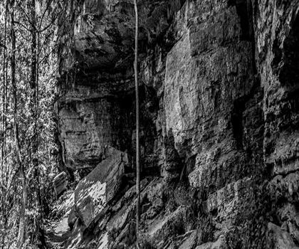 Sentier parc Den Rock - randonnée en Grand Boston